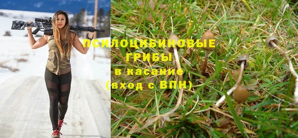 тгк Заводоуковск
