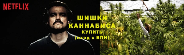 дживик Заволжск
