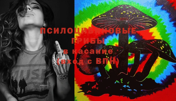 тгк Заводоуковск