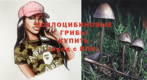 тгк Заводоуковск